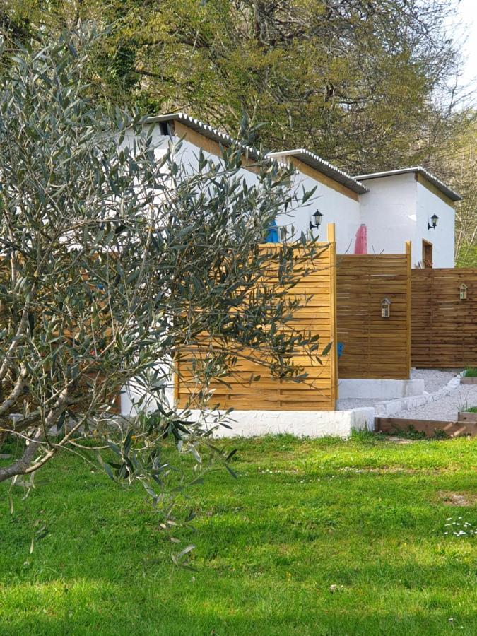 Bed and Breakfast Domaine Mon Doux Reve Terrasson Exterior foto